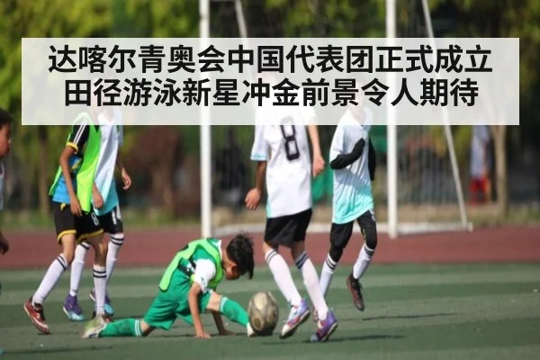 达喀尔青奥会中国代表团正式成立 田径游泳新星冲金前景令人期待