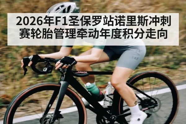 2026年F1圣保罗站诺里斯冲刺赛轮胎管理牵动年度积分走向（kaiyun）